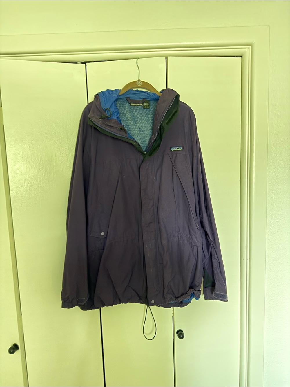 Patagonia Men's Purple Hooded jacket with Blue Lining